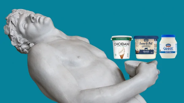Greek Yogurt Comparison